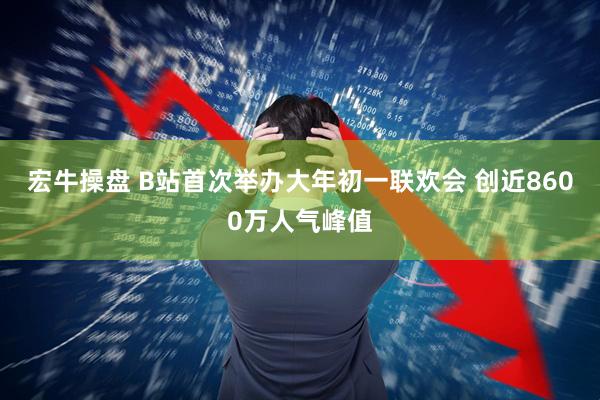 宏牛操盘 B站首次举办大年初一联欢会 创近8600万人气峰值